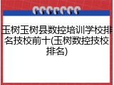 玉树玉树县数控培训学校排名技校前十(玉树数控技校排名)