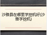 沙雅县在哪里学挖机好(沙雅学挖机)
