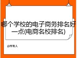 哪个学校的电子商务排名好一点(电商名校排名)