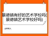 景德镇有好的艺术学校吗(景德镇艺术学校好吗)