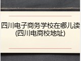 四川电子商务学校在哪儿读(四川电商校地址)