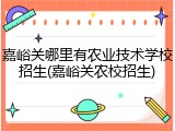 嘉峪关哪里有农业技术学校招生(嘉峪关农校招生)