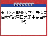 周口艺术职业大学中专部是自考吗?(周口艺职中专自考吗)