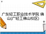 广东轻工职业技术学院 佛山(广轻工佛山校区)