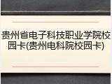 贵州省电子科技职业学院校园卡(贵州电科院校园卡)