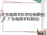 广东电商本科学校有哪些(广东电商本科院校)