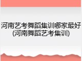 河南艺考舞蹈集训哪家最好(河南舞蹈艺考集训)