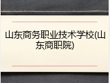 山东商务职业技术学校(山东商职院)