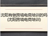 沈阳有做跨境电商培训的吗(沈阳跨境电商培训)