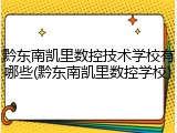黔东南凯里数控技术学校有哪些(黔东南凯里数控学校)