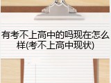 有考不上高中的吗现在怎么样(考不上高中现状)