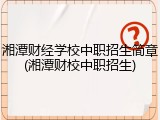 湘潭财经学校中职招生简章(湘潭财校中职招生)