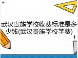 武汉贵族学校收费标准是多少钱(武汉贵族学校学费)