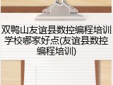 双鸭山友谊县数控编程培训学校哪家好点(友谊县数控编程培训)