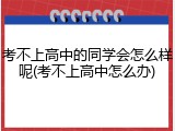考不上高中的同学会怎么样呢(考不上高中怎么办)