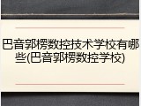 巴音郭楞数控技术学校有哪些(巴音郭楞数控学校)