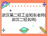 武汉第二轻工业知名老师(武汉二轻名师)