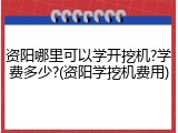 资阳哪里可以学开挖机?学费多少?(资阳学挖机费用)