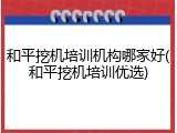 和平挖机培训机构哪家好(和平挖机培训优选)