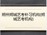 朔州朔城艺考补习机构(朔城艺考机构)
