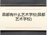 昌都有什么艺术学校(昌都艺术学校)