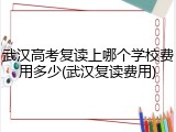 武汉高考复读上哪个学校费用多少(武汉复读费用)