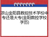 凉山金阳县数控技术学校中专还是大专(金阳数控学校学历)