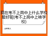 现在考不上高中上什么学校最好呢(考不上高中上啥学校)