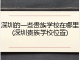 深圳的一些贵族学校在哪里(深圳贵族学校位置)
