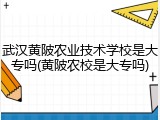武汉黄陂农业技术学校是大专吗(黄陂农校是大专吗)
