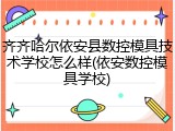 齐齐哈尔依安县数控模具技术学校怎么样(依安数控模具学校)