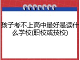 孩子考不上高中最好是读什么学校(职校或技校)