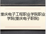 重庆电子工程职业学院职业学院(重庆电子职院)