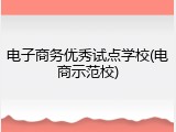 电子商务优秀试点学校(电商示范校)