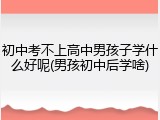 初中考不上高中男孩子学什么好呢(男孩初中后学啥)