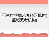 石家庄藁城艺考补习机构(藁城艺考机构)