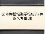 艺考舞蹈培训学校集训(舞蹈艺考集训)