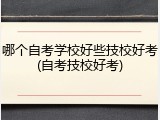 哪个自考学校好些技校好考(自考技校好考)
