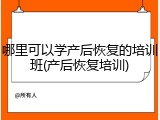 哪里可以学产后恢复的培训班(产后恢复培训)