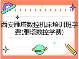 西安雁塔数控机床培训班学费(雁塔数控学费)