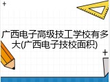 广西电子高级技工学校有多大(广西电子技校面积)