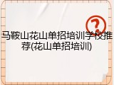 马鞍山花山单招培训学校推荐(花山单招培训)