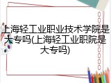 上海轻工业职业技术学院是大专吗(上海轻工业职院是大专吗)
