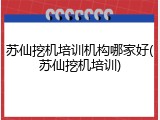 苏仙挖机培训机构哪家好(苏仙挖机培训)