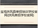宝鸡扶风县单招培训学校官网(扶风单招学校官网)