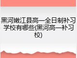 黑河嫩江县高一全日制补习学校有哪些(黑河高一补习校)