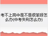 考不上高中是不是很笨呀怎么办(中考失利怎么办)