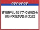襄州挖机培训学校哪家好(襄州挖掘机培训优选)