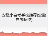 安徽小自考学校推荐(安徽自考院校)