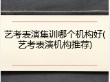 艺考表演集训哪个机构好(艺考表演机构推荐)